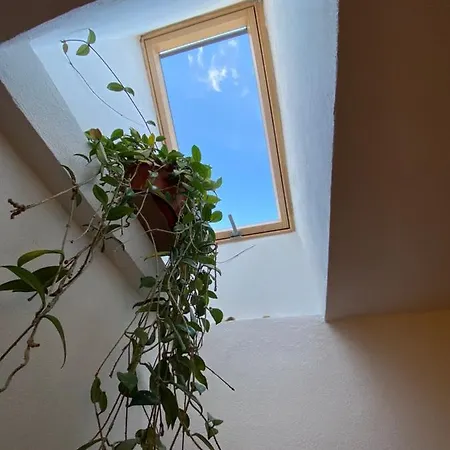 Casa Mili Grinties