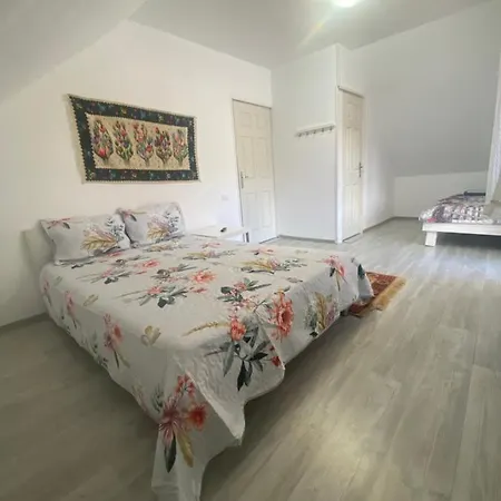 Guest house Casa Mili Grinties