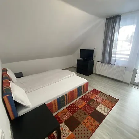 Guest house Casa Mili Grinties